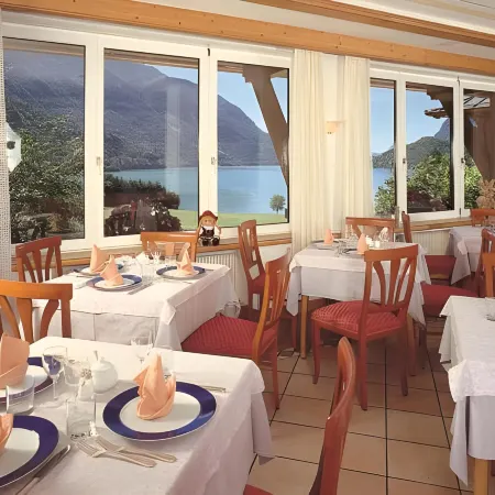 Hotel des Alpes