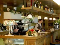 Sporthotel Europa Sul Lago - bar