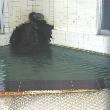 Azumaya Ryokan