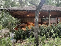 The Diveresort and Dancing Dugong Cafe - de playa