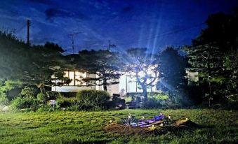 Paju Seashell