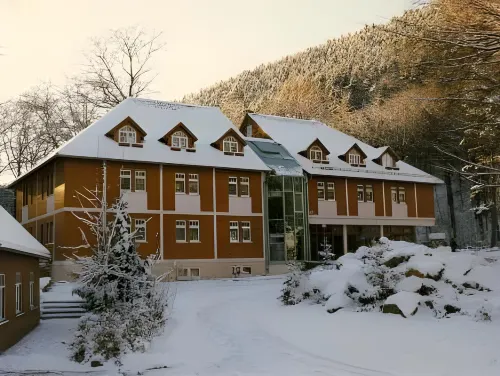 Kurpark Flair Hotel Im Ilsetal