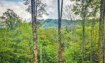 Secluded Union Dale Home ~ 2 Mi to Elk Mountain!