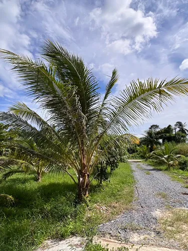 รูปภาพของKuan Mapraw Villa 3