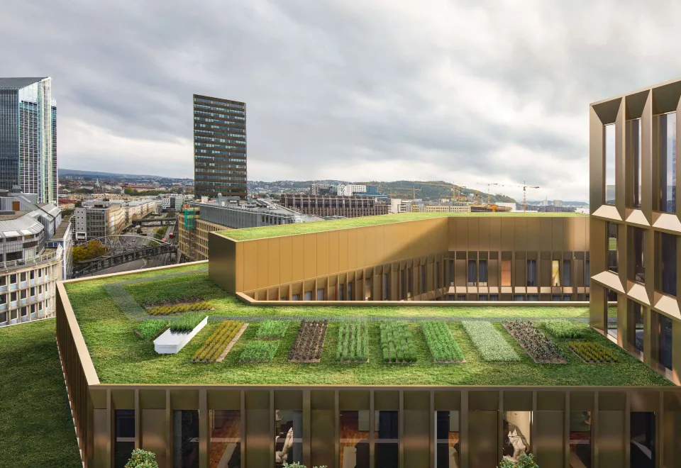 Norway: Hotel Excellence in These Luxury Establishments
