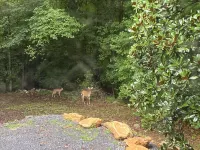 Deer Creek-Peaceful Oasis