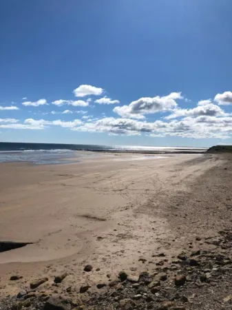 The Old Vicarage Отели рядом с достопримечательностью «The Lindisfarne Gospels Garden»