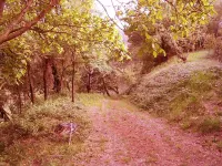 House Vacation Rome with garden dipped in the green of the countries of the Roman Castles Hotels in Cori