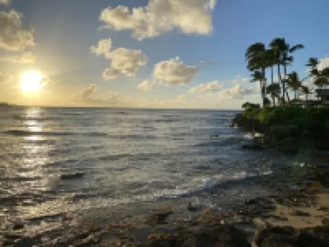 Newly Renovated Condo Within a Short Walk to Ritz-Carlton Resort and Beaches 卡夫庫酒店