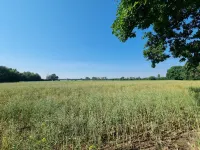 Vacation apartment Ströbitzer Wiesen