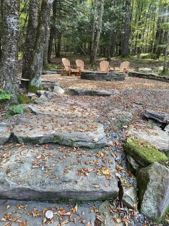 Secluded Peaceful Cabin in the Forest