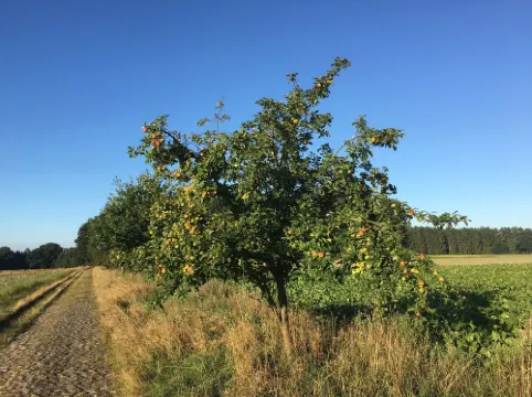 Farm holiday to feel good, where at night the stars shine!