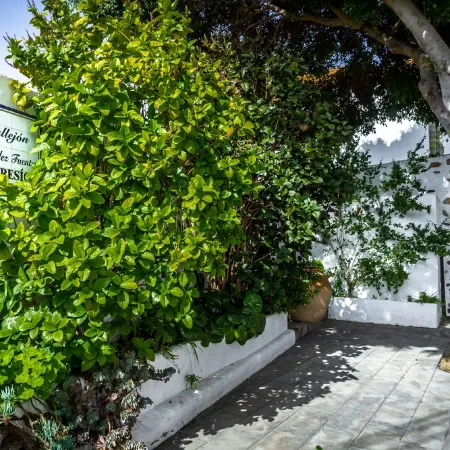 Luxury loft in the center of Arrecife. Very spacious and bright. Newly renovated!