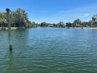 Cozy Cottage - River House - Kayaks - SUP - Relax & Recharge