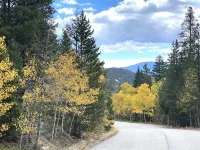 Adorable Cottage in National Forest -- hiking & climbing steps from your door!