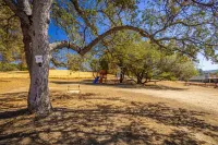 Picayune Retreat: Spa/EV/Play-Structure/Pet-Loving/Games and More''