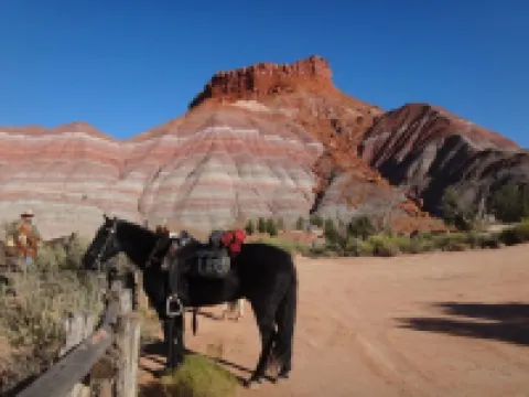 The Cowboy Cabin at the Paria River Ranch