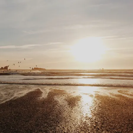 Cozy Coastal Bungalow in Crescent City
