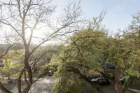 Elegant, Quiet, and Beautiful Rustic Home Blocks from UT and Downtown