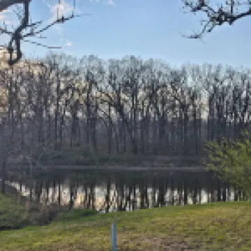 Current River,  Ryan's Ranch, 3BR/2BA plus,room to roam, 50 Acres, Doniphan, MO