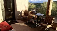 Tucson Time Machine Journey–Enjoy Rooftop Sunsets & Wildlife Show