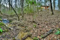 Keturah's Creek - Luxury Couples Tiny Cabin - 8 acres
