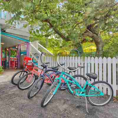 Flakey's B&B in the heart of Islamorada Hotel Exterior
