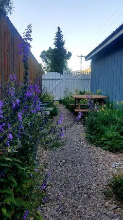 Gorgeous Studio home, Fenced yard, Open Yr Rnd, Dog Friendly.