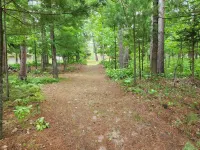 cozy lake house, full log cabin on beautiful shell lake, w/ wonderful loft.