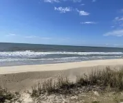 Enjoy an oceanfront getaway with beautiful beach steps from your door.