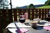 Top apartment Wolfspfote in the vacation resort with swimming pool in the Hochschwarzwald paradise