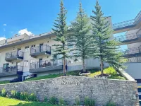 New! True Ski-in/out + Garage, Elevator, Hot Tub, & Views