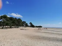 Beautiful fully renovated villa, cycle track 50 m'away, beach 2 mins away, 4 bedrooms. Hotel a Andernos-les-Bains