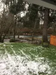 Cozy Cabin On The Sol Duc River Sleeps Four. Fully Supplied Kitchen And Linen's.