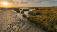 House "Pause et Mer" 5 min Seaside Authie Bay quiet family neighborhood
