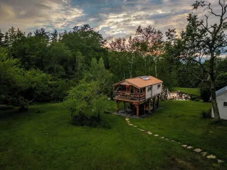 Treehouse lifted up over a stocked trout pond up in the beautiful birch trees!
