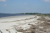 Quiet, Secluded Cottage, Close to Sapelo, Birding, nature, fishing Free wi-fi!
