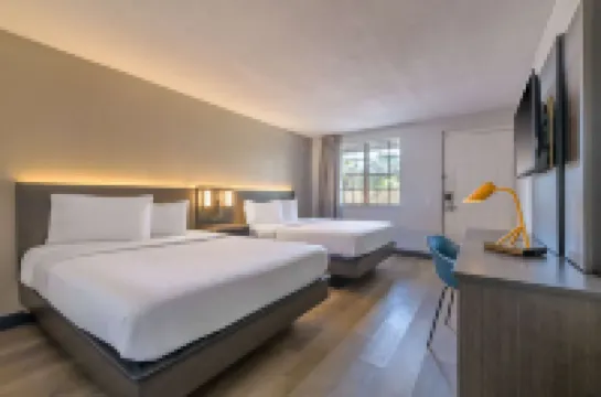 Motel 6-Ocala, FL - Conference Center