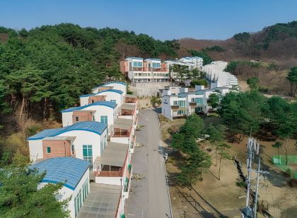 (주)현대수리조트엔제너두