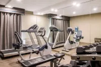 Comfort Inn Montreal Aeroport - Gym