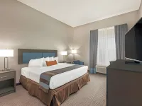 Wingate by Wyndham Lubbock Near Texas Tech Univ. Medical Ctr Отели рядом с достопримечательностью «Университет Техас Тек»