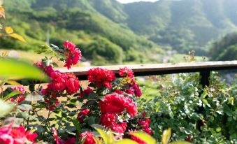 Geoje Island Soguk Pension