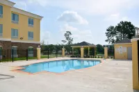 Holiday Inn Express & Suites HOUSTON NW - TOMBALL AREA by IHG - Uima-altaat