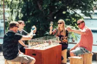 Summer Hotel Vuorilinna Hotels in Savonlinna