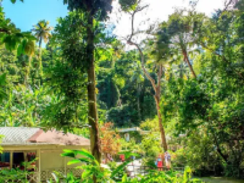 The Still Beach House Hotels in Soufriere