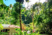 The Still Beach House Hotels near Pitons