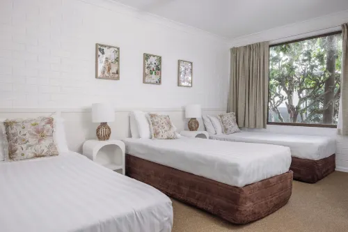Main Beach Apartments - Apartments