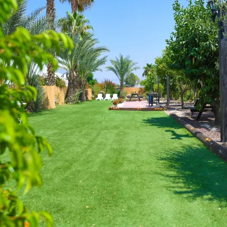 Magical in the Galilee