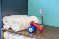 輝盛萊比錫卡普里