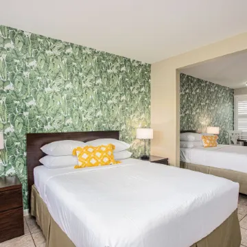 The Local - St. Augustine